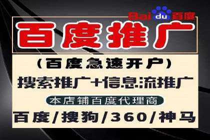 某电商平台的SEM代运营策略及效果评估